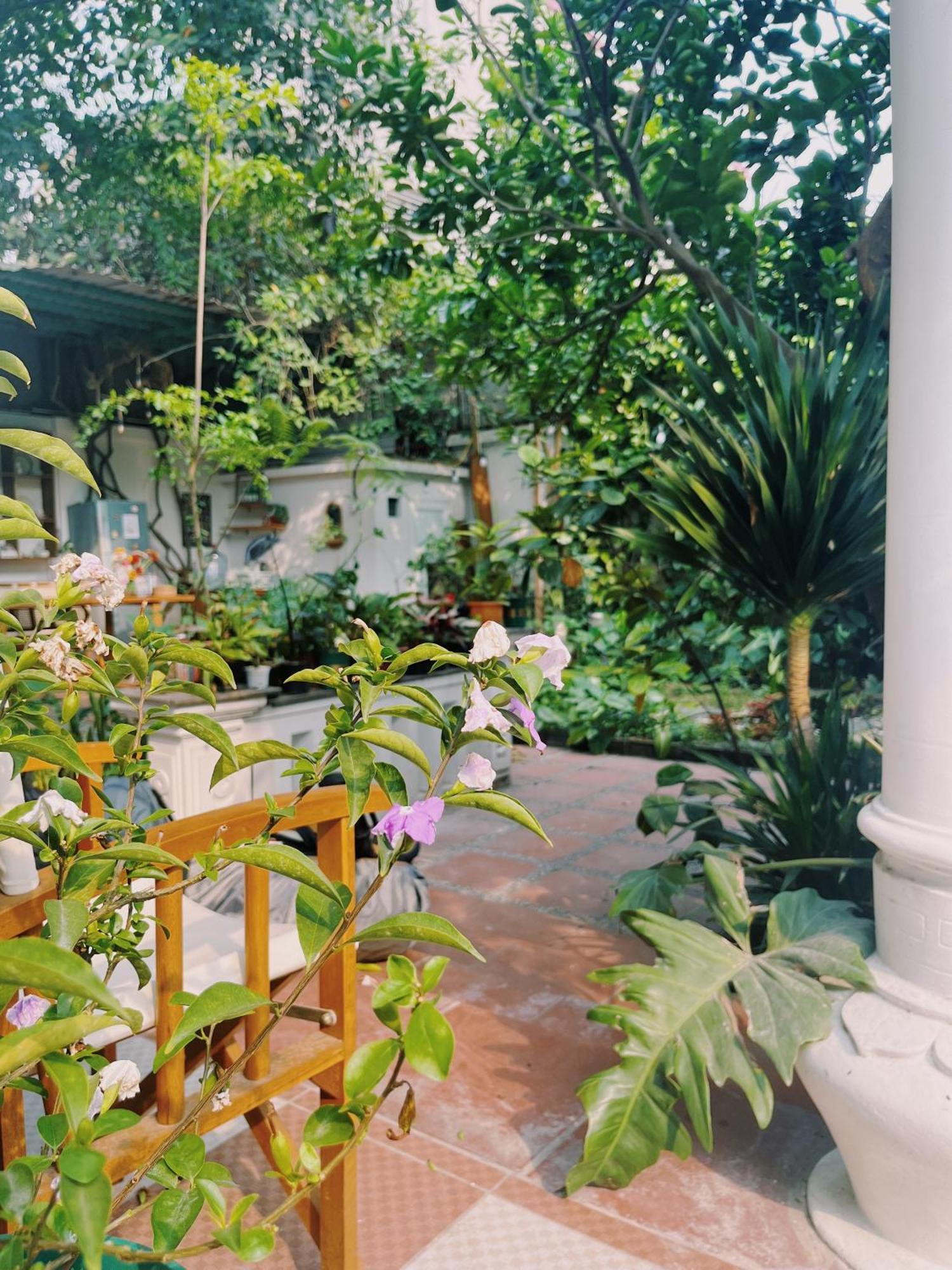 1.Home Hanoi Luaran gambar
